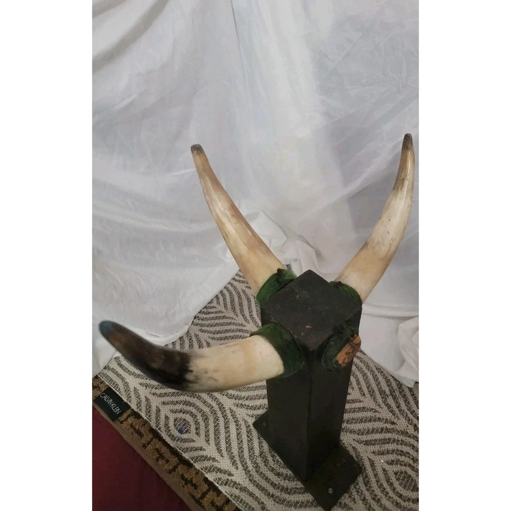 Vintage Bull Horns‎ Display Mount | Large Rustic Western Decor 🤠
